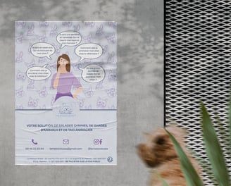 Affiche informatif pour la maison koala