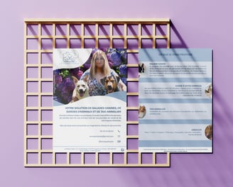 flyers pour l'entreprise la maison koala