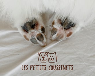 Logo principal - Les Petits Coussinets