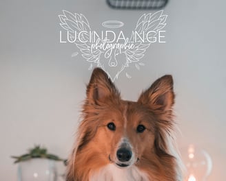 logo signature en blanc