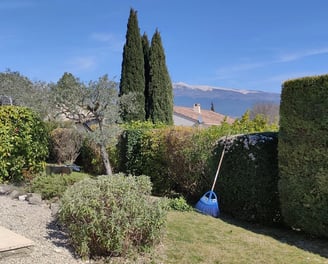 Entretien jardin à Carpentras par jardinier paysagiste