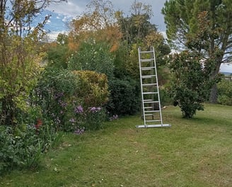 Entretien jardin à Carpentras par jardinier paysagiste