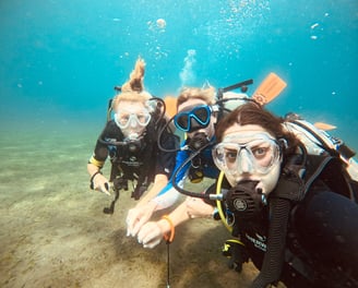 Three women who dive, looking at a turtle