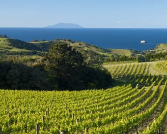 Waiheke Island