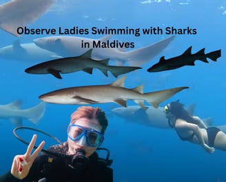 Swimming with the sharks