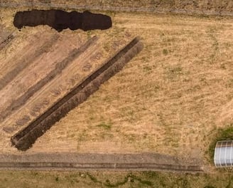 agroforestry field in preparation
