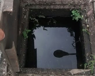 imagem de uma caixa de gordura