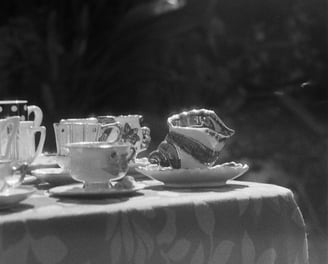 medium format film photography