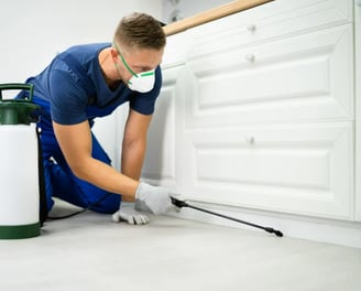 A pest control technician spraying pesticide underneath a kitchen cabinet.