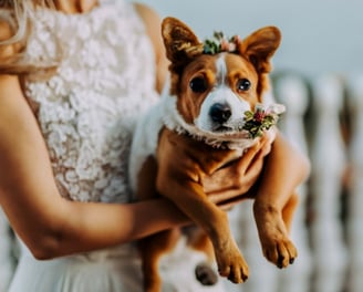 wedding dog is holding a flower in her hands