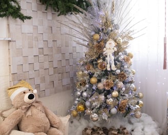 Ensaio Fotográfico Taty Pacheco Natal 2022