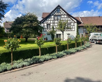 Gartenunterhalt, Gartenpflege_hecke_büsche_rosen_wiese_rundumpacket_gartenpflege_Buelach