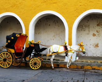 a horse drawn carriage with a horse drawn carriage