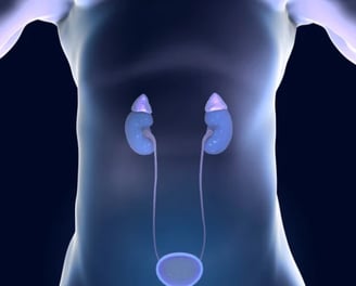 genitourinary cancer