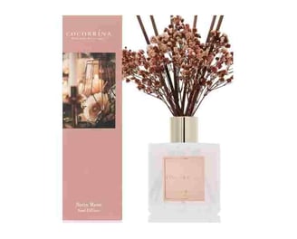 Cocorrína Premium Reed Diffuser Set with Preserved Baby's Breath & Cotton Stick Sandalwood Rose