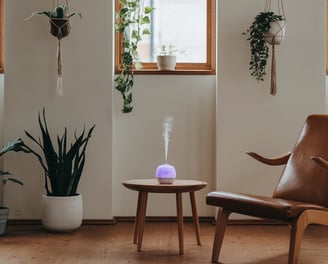 Interior, living room