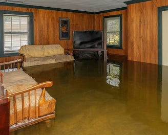 Flood Remediation Services