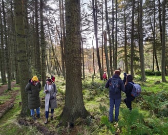 a group of people walking through a forest