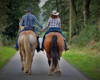 Équitation dans la Forêt de Coat-an-Noz, Bretagne – cavalier sur un sentier boisé entouré de forêt l