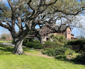 Black Oak Homes & Mortgages offers full-service real estate and mortgage solutions under one roof.