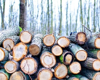 tree logos cutting up