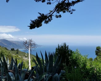 New Camaldoli Big Sur, California