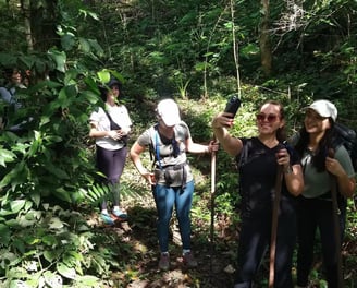 a group of people walking through a forest