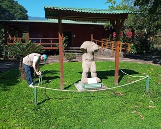 a man is standing in the grass near a statue