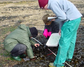 Students on beach