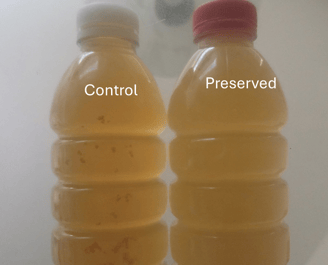 Green tea preservation