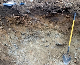 Soil Evaluation