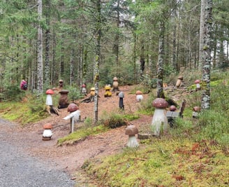 Pilze am Zauberwaldpfad