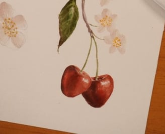 Pintura de uma composição de cerejas