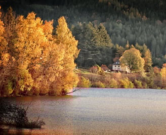 Herbstlicher Sonnenaufgang am Schluchsee