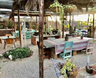 a table with chairs in a succulent cactus garden for tour groups and tourists in uis namibia