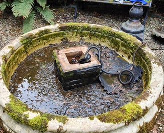 Water Feature Recommissioning