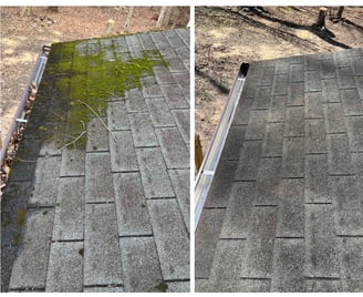 Before and after moss removal from asphalt roof shingles