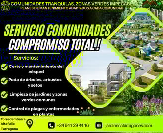 jardineros-profesionales-en-tarragona.jpg