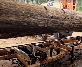 Massive sinker cypress log ready to be turned into outstanding lumber.