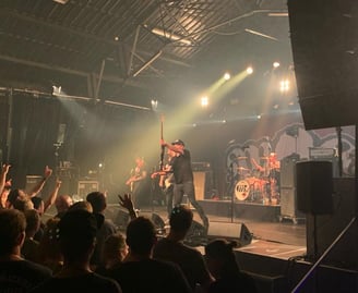 Millencolin im Roxy