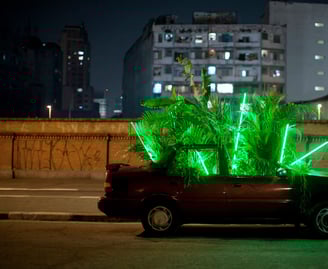 intervenções da série Carro Verde