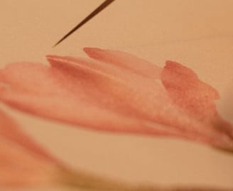 Pintura de uma flor lírio