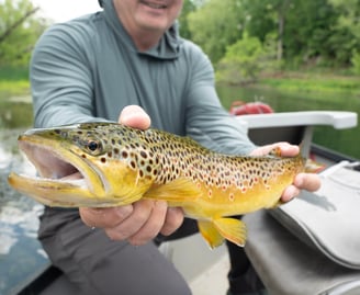 May 2025 South Holston River Fishing Report