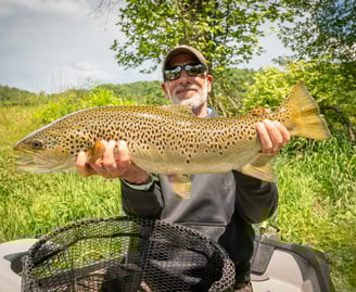 27" Brown Trout May 2025