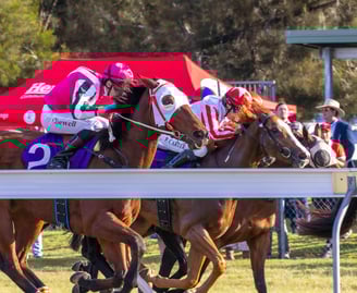 Horses racing past the crowd at Nanango