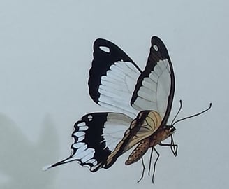 Détail d'une fresque peinte: un beau papillon noir et blanc vole. à Lons-le-Saunier (Jura, 39).