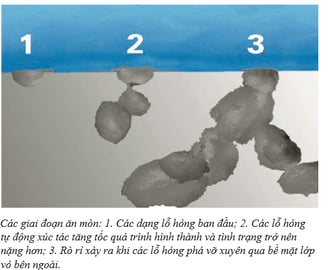 máy nước nóng năng lượng mặt trời Solahart chống lại sự ăn mòn