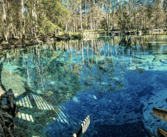 Wooden steps descend into the shallow clear aqua spring waters in Central Florida