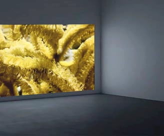 digital art, video installation,  joanna wlaszyn