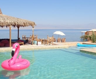 en rosa flamingo som flyter i en pool på stranden
